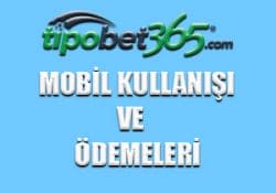 Tipobet mobil arayüzü nasıl ?